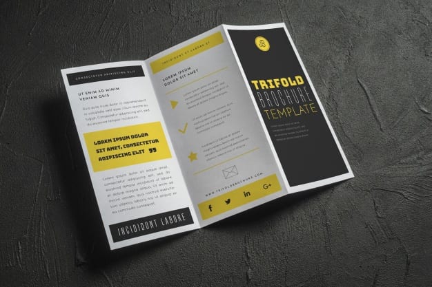 bullet points and headlines for trifold business brochure