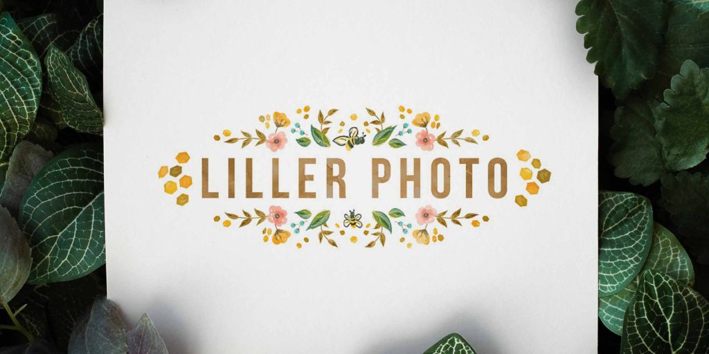 example of natural photography logo ideas